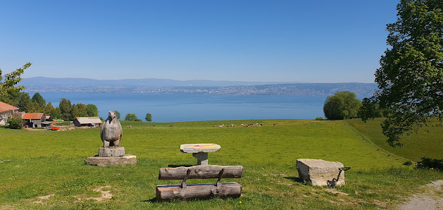 Photo 1 de Côte de Saint-Paul-en-Chablais