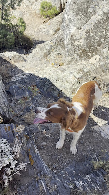 Photo 3 de Mont Fenouillet