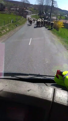 Photo 2 de Saint Bonnet le Courreau