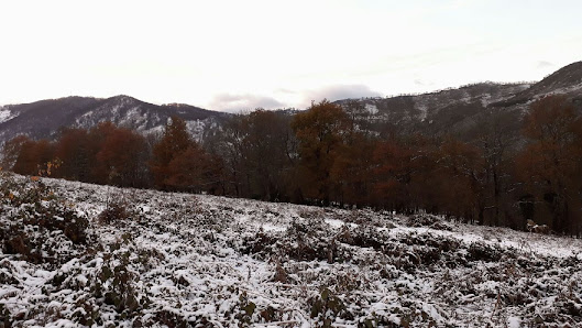 Photo 1 de Cap de la Serre