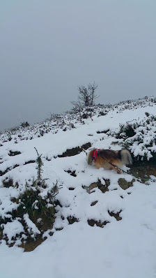 Photo 3 de Col de Marie-Blanque