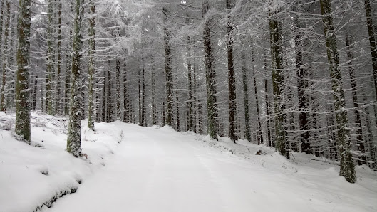 Photo 1 de Col de Boissac