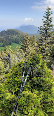 Photo 2 de Col de la Sariette