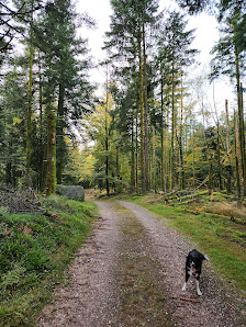 Photo 1 de Col du Chalet des Gardes