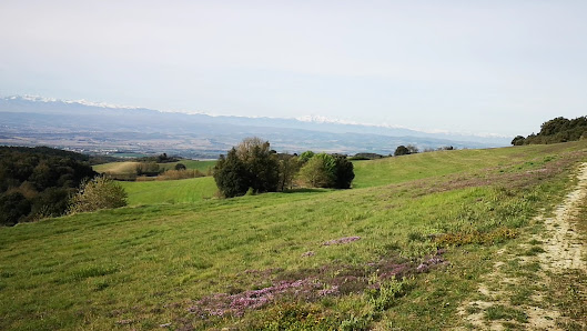 Photo 3 de Col de la Malepère