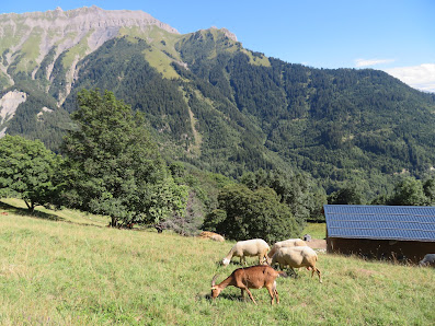 Photo 1 de Montdenis