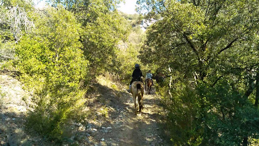 Photo 2 de Montbrun