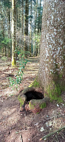 Photo 1 de Plaimbois-le-Miroir