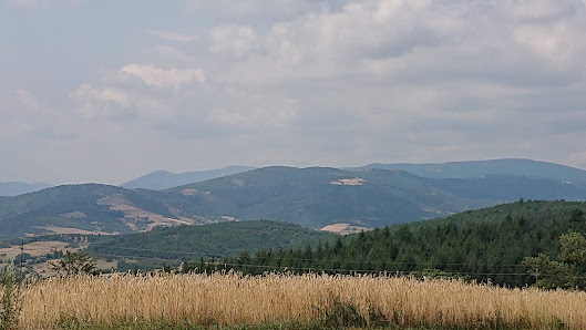 Photo 1 de Col du Fayet