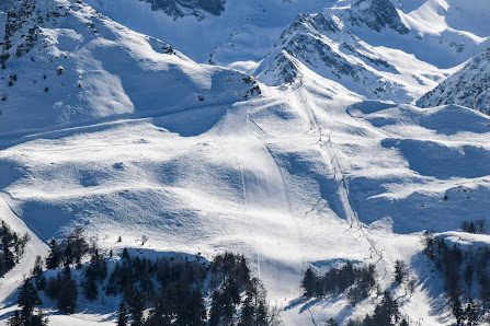 Photo 2 de Pan Harie