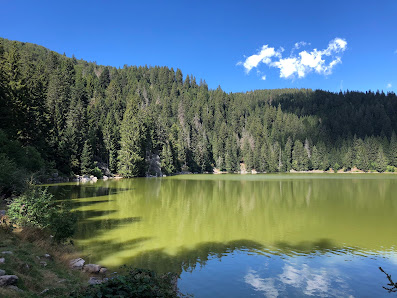 Photo 1 de Collet du Lac vert