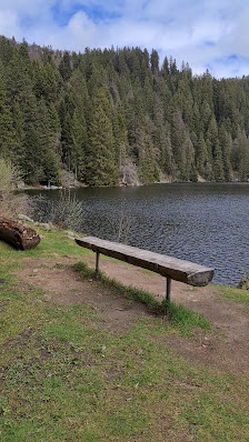 Photo 3 de Collet du Lac vert