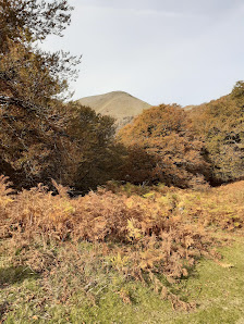 Photo 1 de Ichtauzko Lépoa