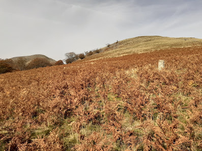 Photo 2 de Ichtauzko Lépoa