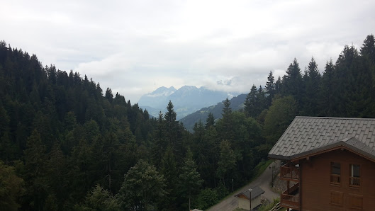 Photo 2 de Cote de cohennoz