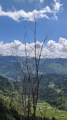 Photo 3 de Cote de cohennoz
