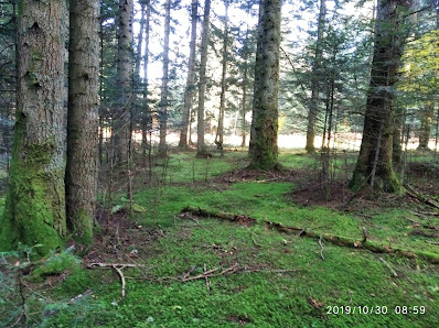 Photo 1 de Col des Dansadoux
