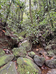 Photo 2 de La Soufrière