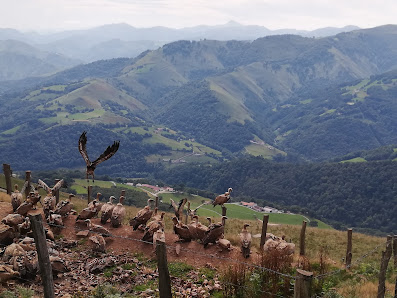 Photo 1 de Col de Urdanzia