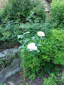 Photo 1 de Côte de Saint-Rome-de-Cernon