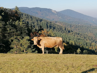 Photo 1 de Col des Baraques