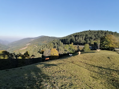 Photo 2 de Col des Baraques