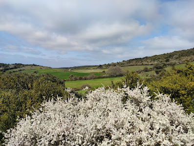 Photo 1 de Mont Simel