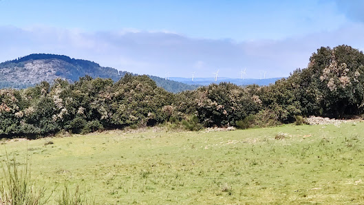 Photo 2 de Mont Simel