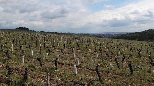 Photo 2 de Corcelles les Monts