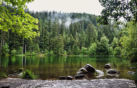 Photo 1 de Côte du lac de la Maix