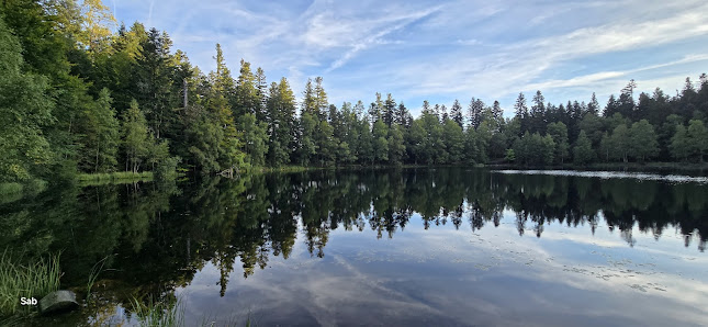 Photo 2 de Côte du lac de la Maix