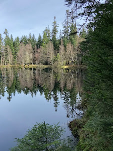 Photo 3 de Côte du lac de la Maix