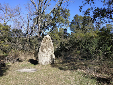 Photo 1 de Croix d'Anselme