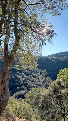 Photo 2 de Croix d'Anselme