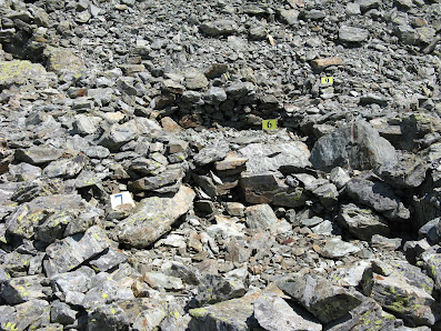 Photo 1 de Col dei Salassi