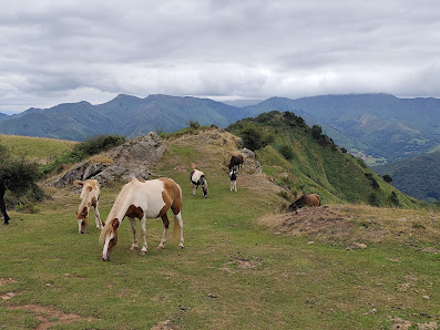 Photo 2 de Mont Jarra