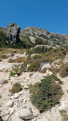 Photo 3 de Ghisoni Ski Station