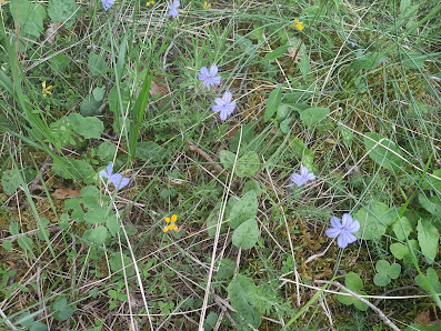 Photo 1 de Col de Siron