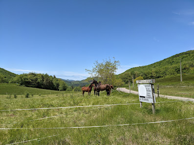 Photo 1 de Col des Tougnets