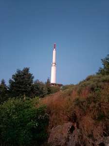 Photo 2 de Mont Pilat