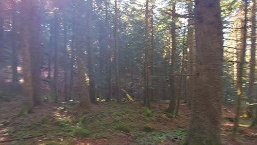Photo 3 de Mont Pilat