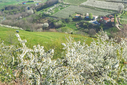 Photo 1 de Côte de Saint-Romain-en-Jarez