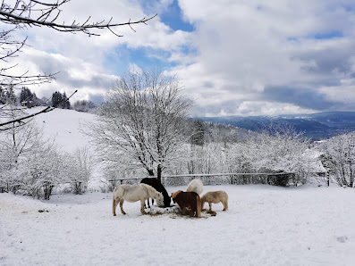 Photo 1 de La Croix des Hêtres