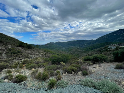 Photo 2 de Col de Cardo