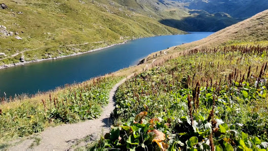 Photo 3 de Lac du Loup
