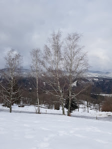 Photo 2 de Station du Schlumpf