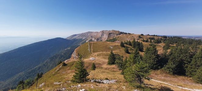 Photo 2 de Petit Montrond