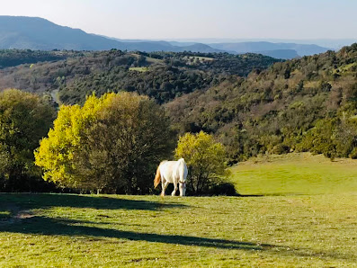 Photo 1 de Col de Termes
