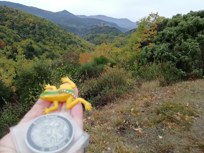 Photo 2 de Col de Termes