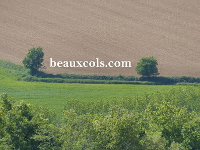 Photo 1 de Col de barbe bleue